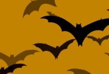 Les films Batman à l'honneur : les sorties de la semaine du 12 juin 2023 ! 