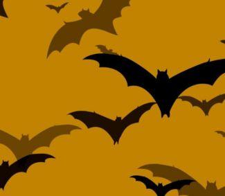 Les films Batman à l'honneur : les sorties de la semaine du 12 juin 2023 ! 