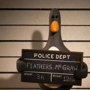 Aardman Wallace Gromit Pingouin Feather McGraw Palme Vengeance Aardman Wallace Gromit Pingouin Feather McGraw Palme Vengeance