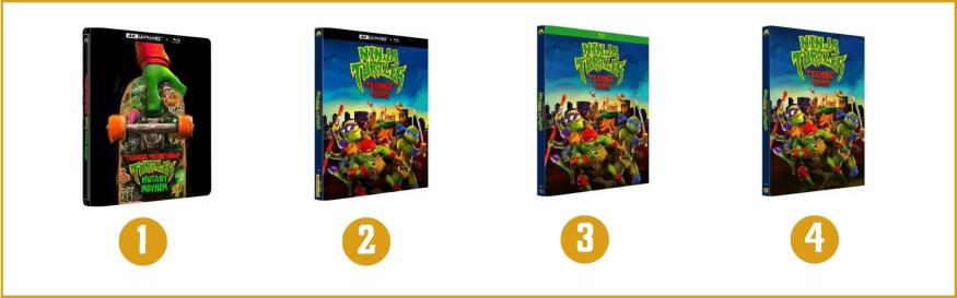 Ninja Turtles Teenage Years Ninja Turtles Teenage Years