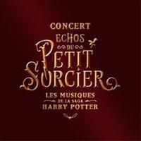 Échos du Petit Sorcier par Neko Light Orchestra - Tournée