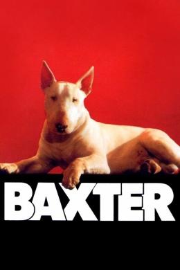 Affiche du film Baxter