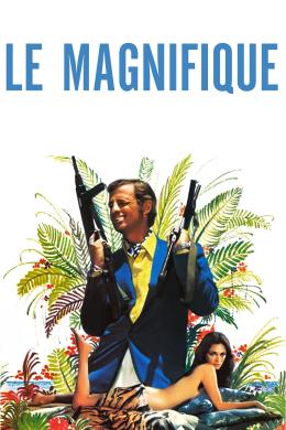 Affiche du film Le Magnifique