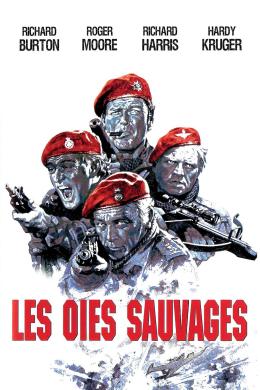 Affiche du film Les Oies sauvages