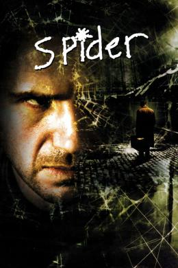 Affiche du film Spider