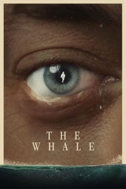 Affiche du film The Whale