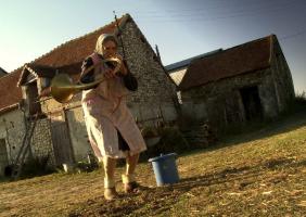 Les Bodin's Collection Les Bodin's Collection