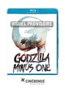 Godzilla Minus One Edition simple Blu-ray [sortie à venir]