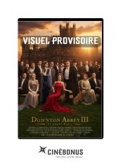Downton Abbey III : Le Grand Final Edition DVD