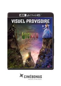 Wicked : Partie II Exclusivité FNAC boîtier SteelBook - 4K Ultra HD + Blu-ray