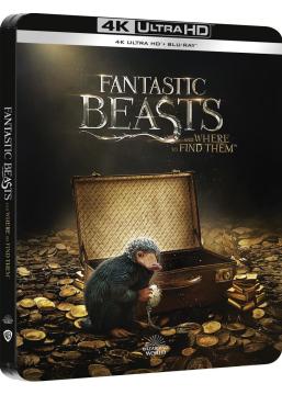 Les Animaux Fantastiques Édition Limitée SteelBook 4K Ultra HD + Blu-ray