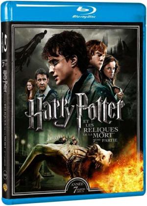 Harry Potter et les Reliques de la mort : 2ème partie Blu-ray Edition Simple